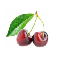 Czereśnia